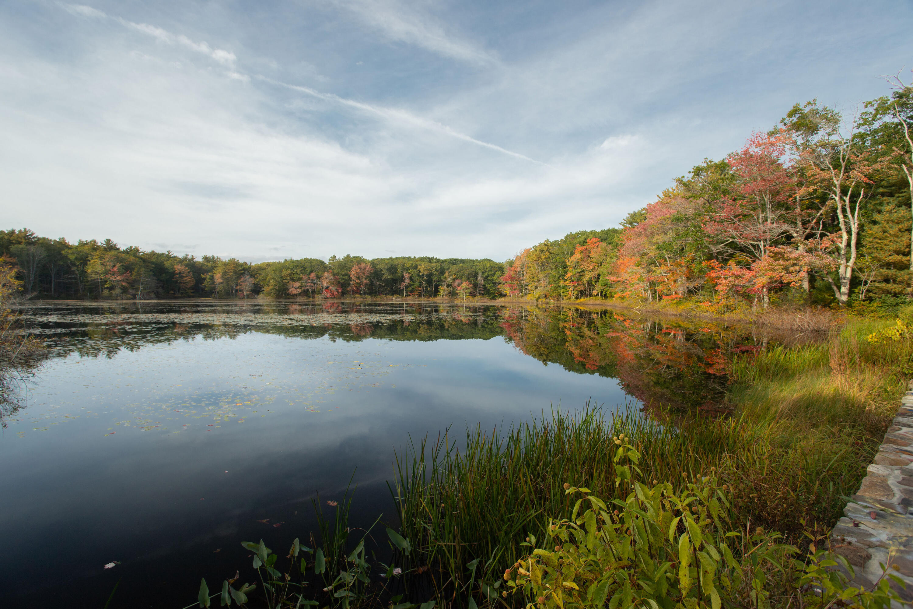 39 Pine Mountain Road York, ME 03902 - Photo 6 of 49 39 Pine Mountain Rd, Cape Neddick