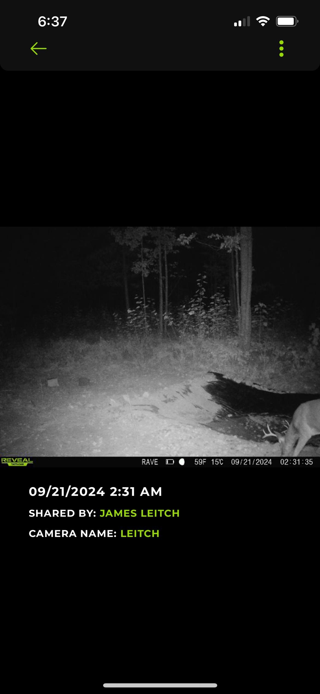 1667 East Walker Road Lake City, MI 49651 - Photo 36 of 54