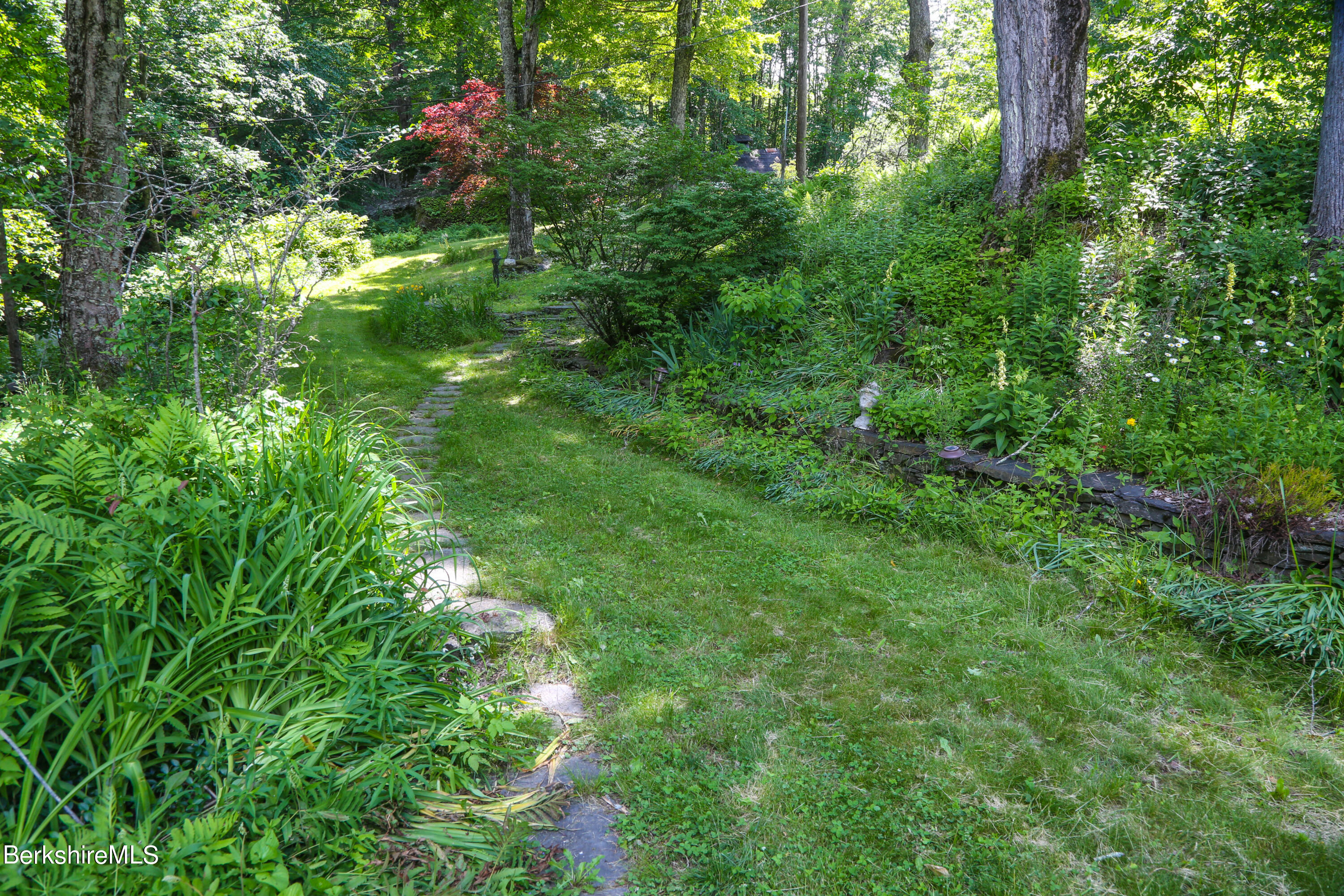 818 Main Road Chesterfield, MA 01084 - Photo 27 of 33 a view of a lush green forest