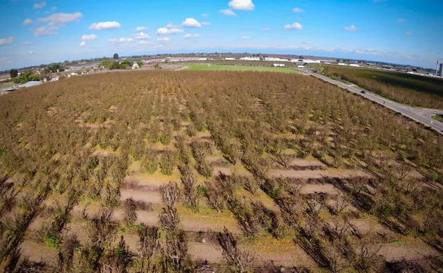 a view of an ocean and beach