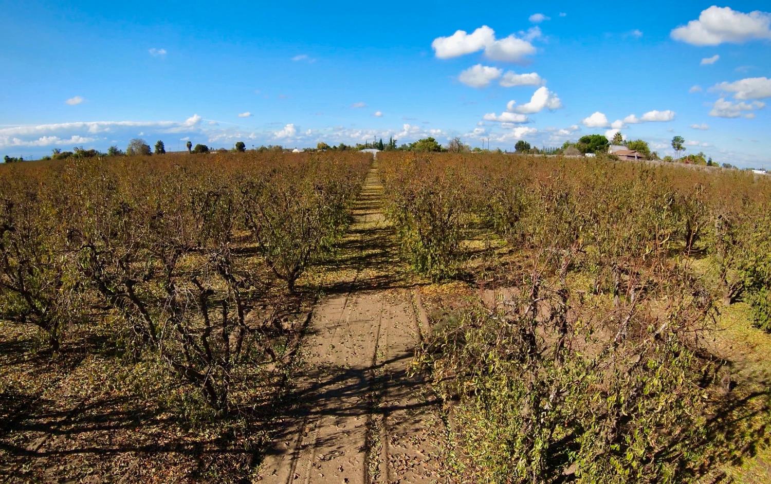 0 Sycamore Street Delhi, CA 95315 - Photo 9 of 9 a view of a city
