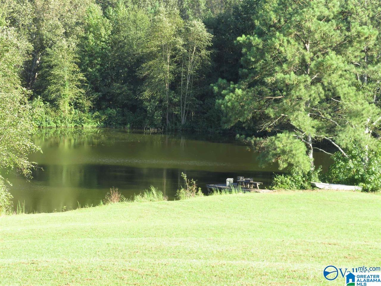 1750 Kent Road Oneonta, AL 35121 - Photo 19 of 20