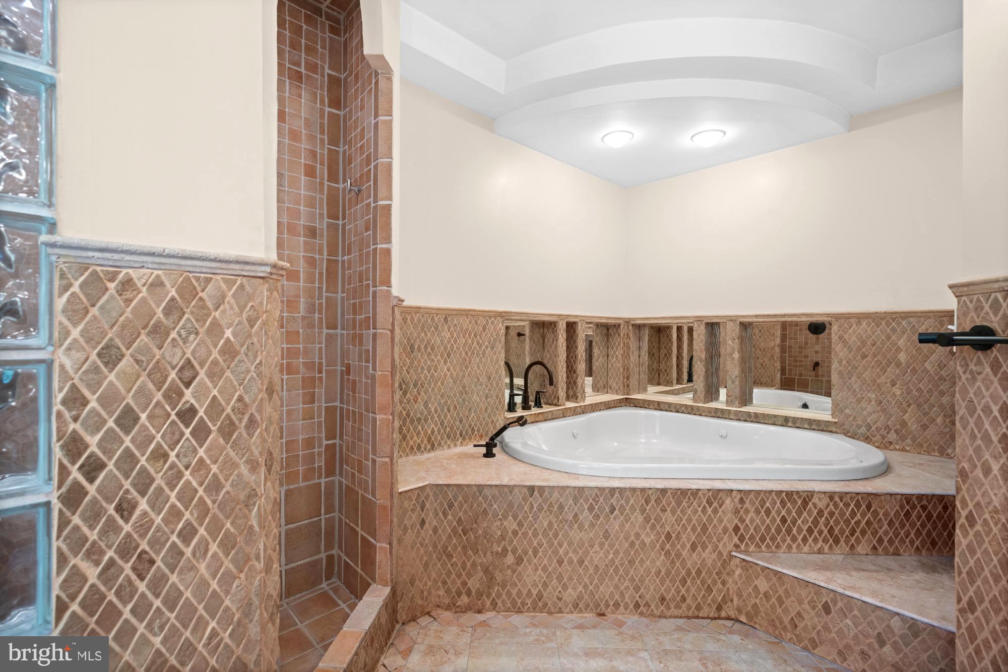 944 Stuart Road Princeton, NJ 08540 - Photo 14 of 40 Soaking tub and separate shower.