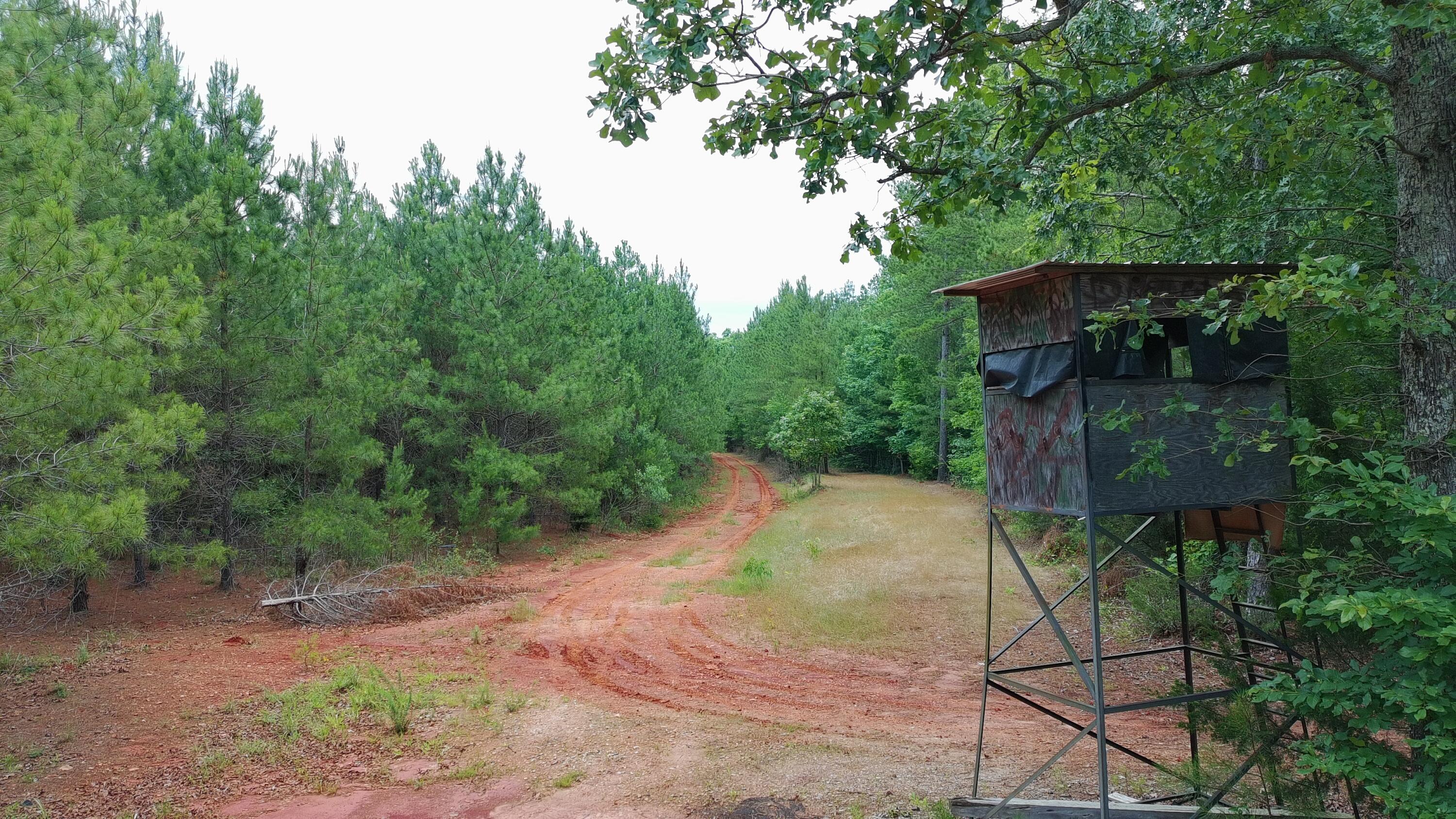 Tbd Pineywood Road, Unit TBD Saluda, SC 29138 - Photo 16 of 17