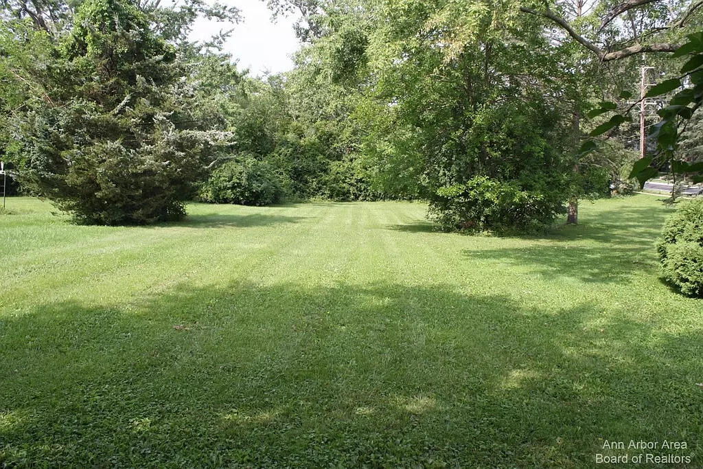 115 North Maple Road Saline, MI 48176 - Photo 10 of 40 115-N-Maple-YARD-SUMMER