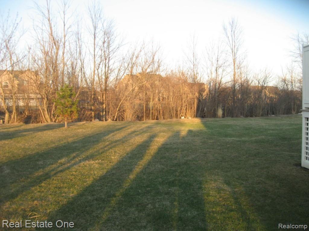 25353 Rust Road New Boston, MI 48164 - Photo 11 of 28 View in Back.jpg