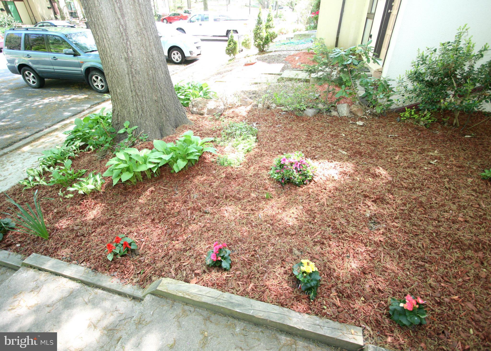 2232 Lofty Heights Place Reston, VA 20191 - Photo 2 of 25 Landscaping in front yard.