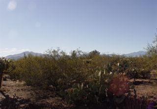 9790 East Andrada Road, Unit 2AC Vail, AZ 85641 - Photo 2 of 9