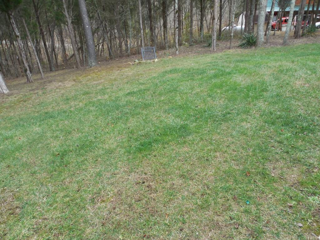 121 Bacon Road Rogersville, TN 37857 - Photo 24 of 24 Photo 24