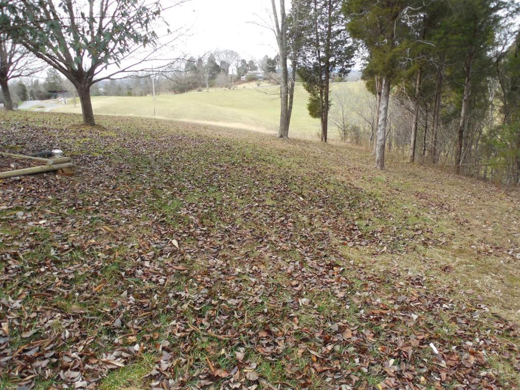 121 Bacon Road Rogersville, TN 37857 - Photo 3 of 24 Photo 3