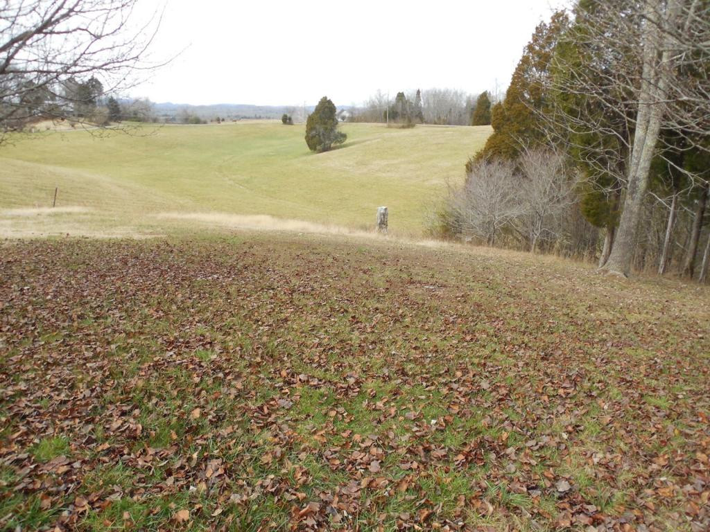 121 Bacon Road Rogersville, TN 37857 - Photo 4 of 24 Photo 4