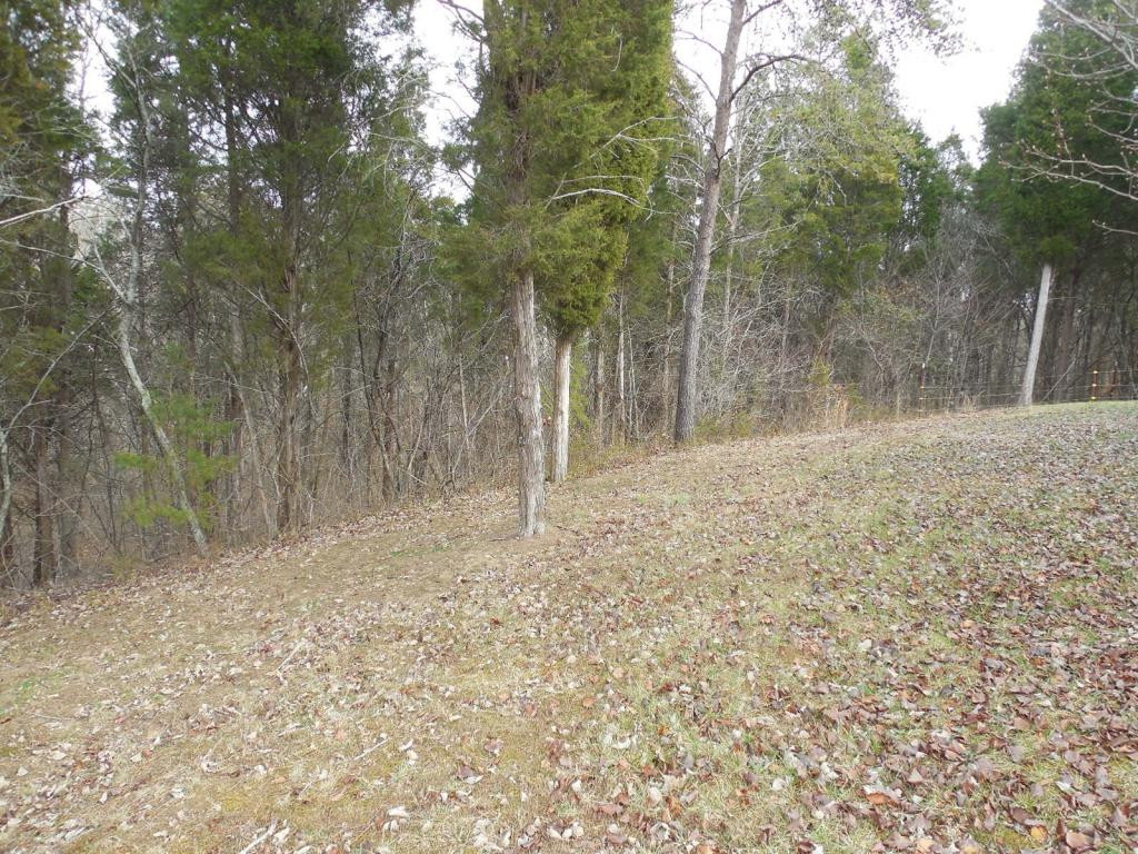 121 Bacon Road Rogersville, TN 37857 - Photo 5 of 24 Photo 5