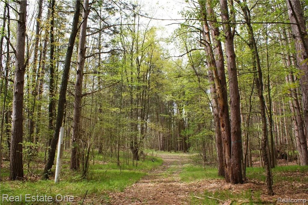 2 McKeen Lake Road Columbiaville, MI 48421 - Photo 16 of 51