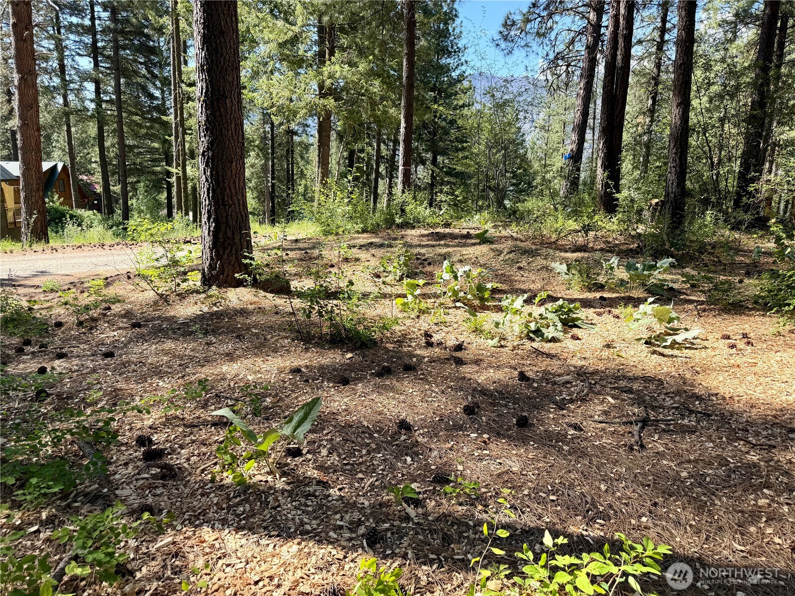 11 Highland Mdw Road Winthrop, WA 98862 - Photo 2 of 25 a view of a yard with trees