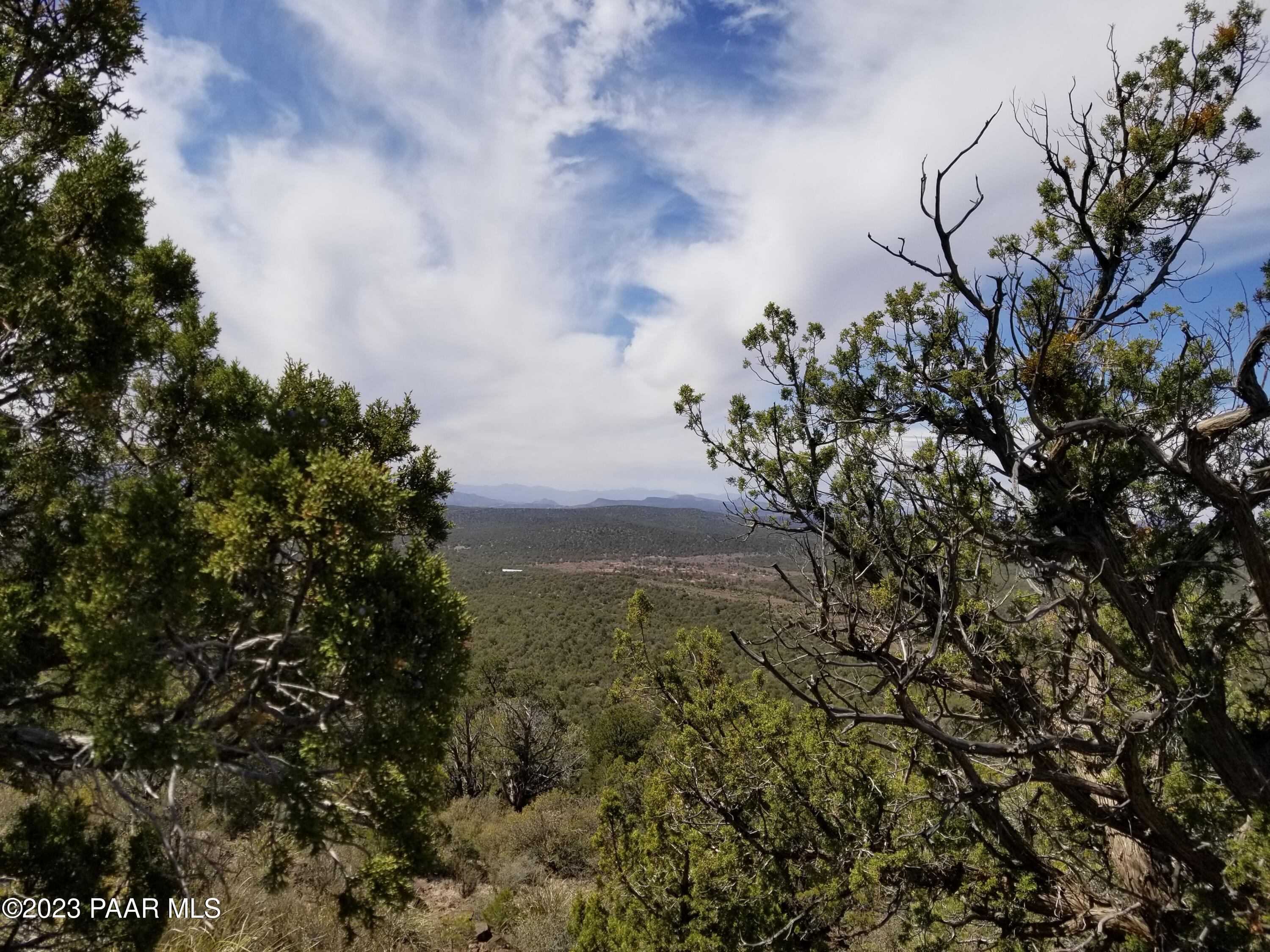 4756 North Diamond Ranch Road Kingman, AZ 86401 - Photo 3 of 13 20210401_115220