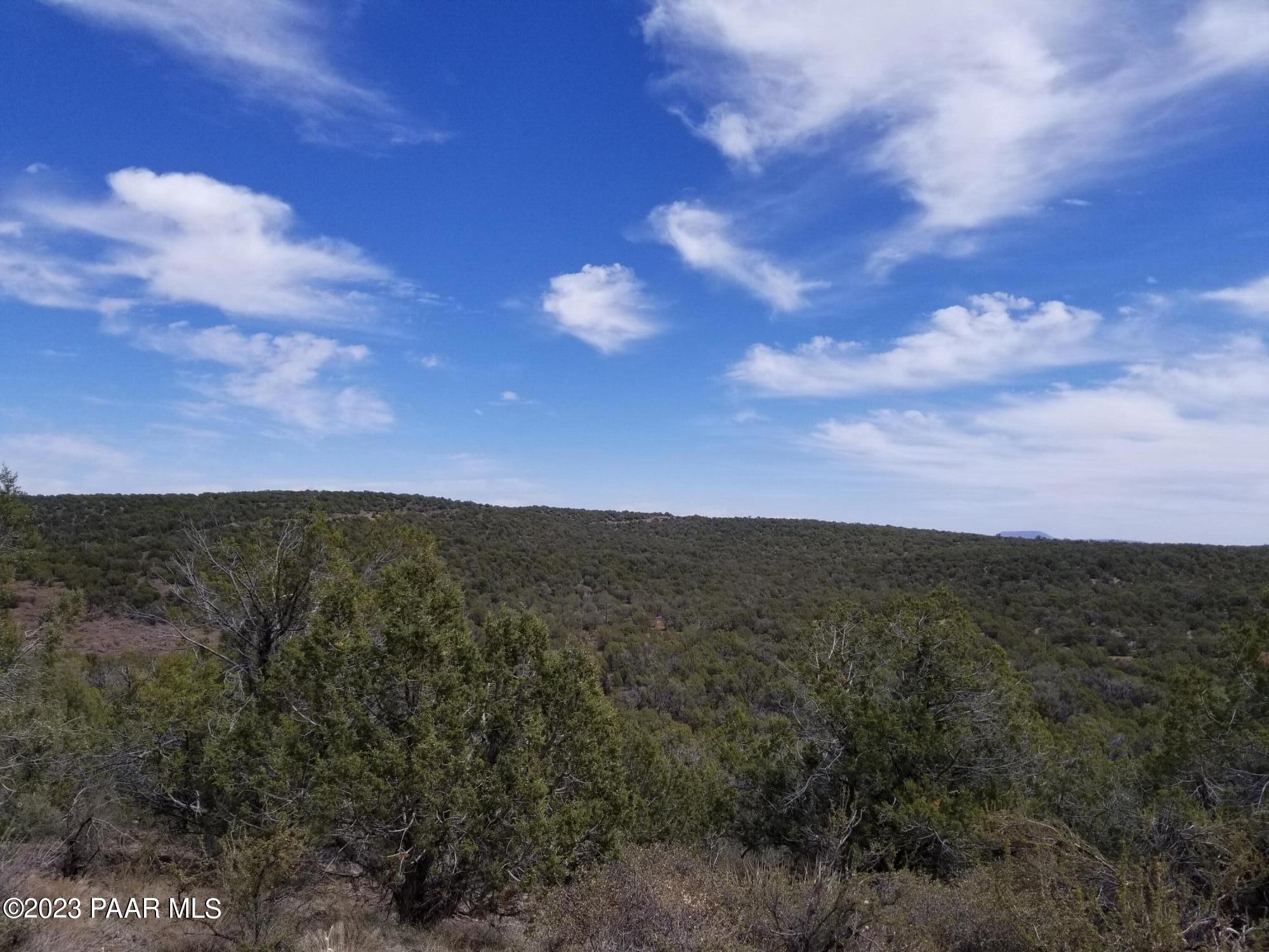 4756 North Diamond Ranch Road Kingman, AZ 86401 - Photo 8 of 13 20210401_120854
