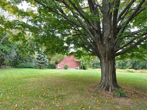 435 High Street Walpole, MA 02081 - Photo 18 of 24