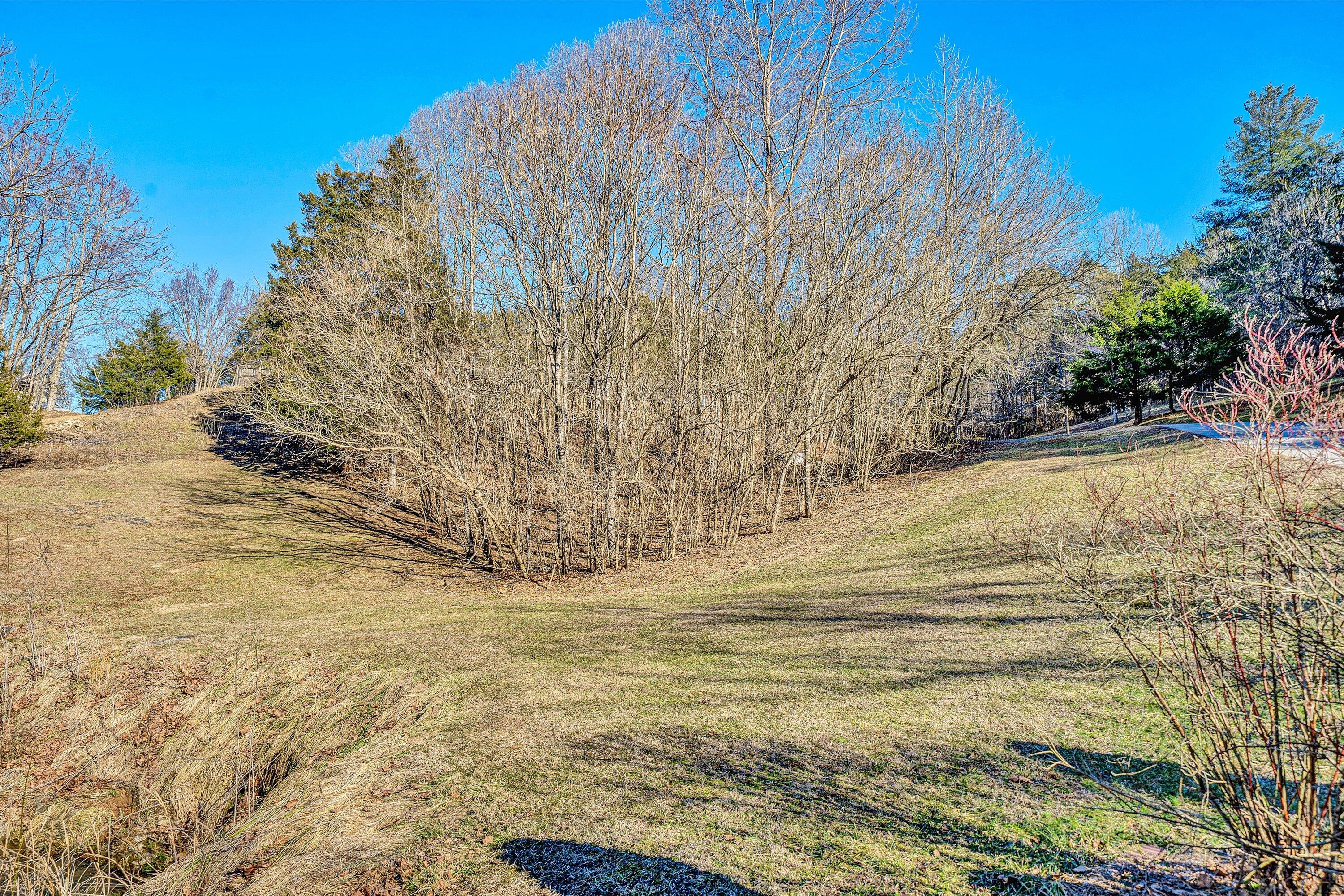 3446 Mt Joy Road Buchanan, VA 24066 - Photo 54 of 63 54-DSC00148