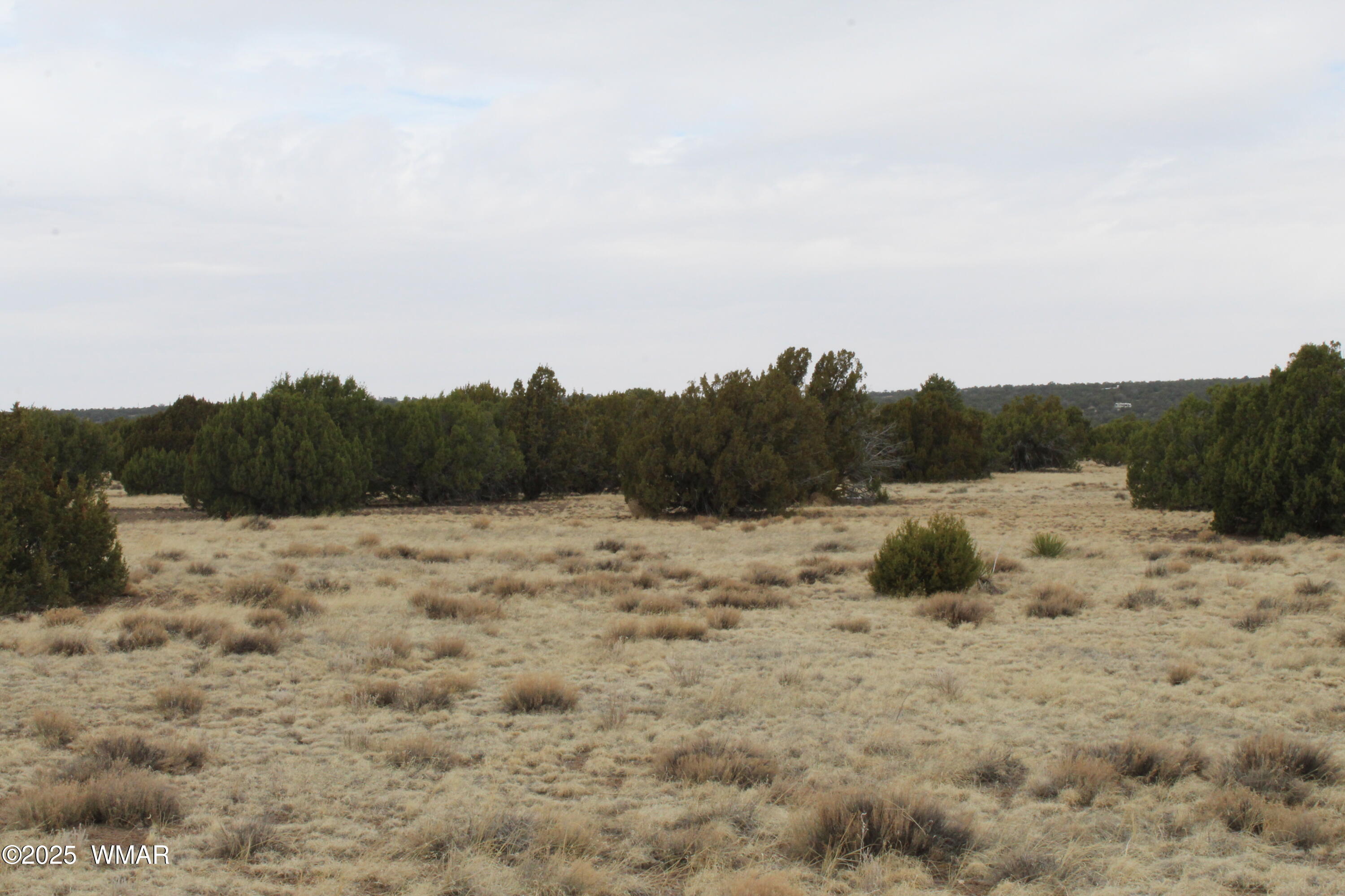 21 County Road Concho, AZ 85924 - Photo 12 of 22 a view of top of a dry yard with wooden fence