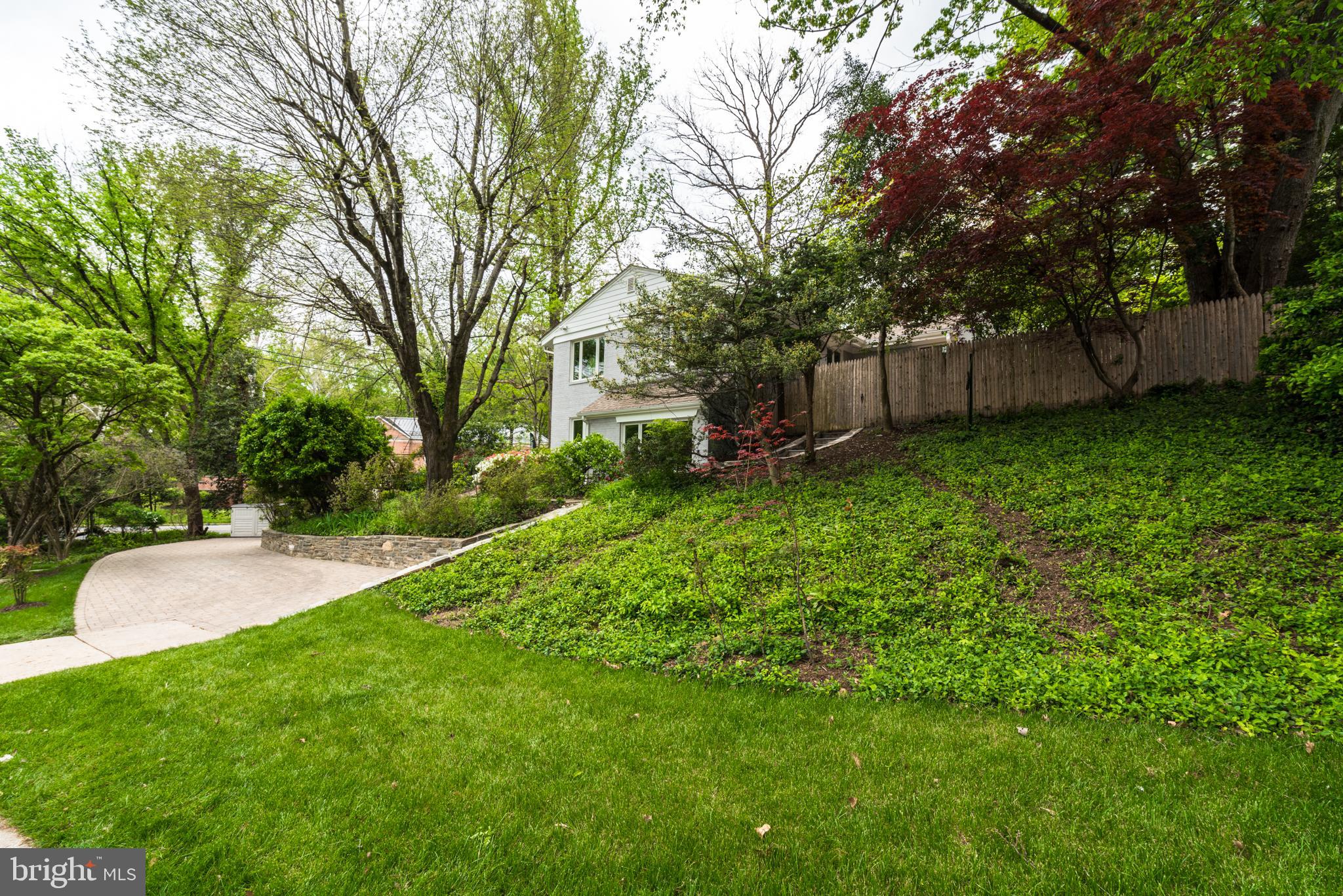 6202 Redwing Road Bethesda, MD 20817 - Photo 6 of 8 Charming home nestled in lush greenery.