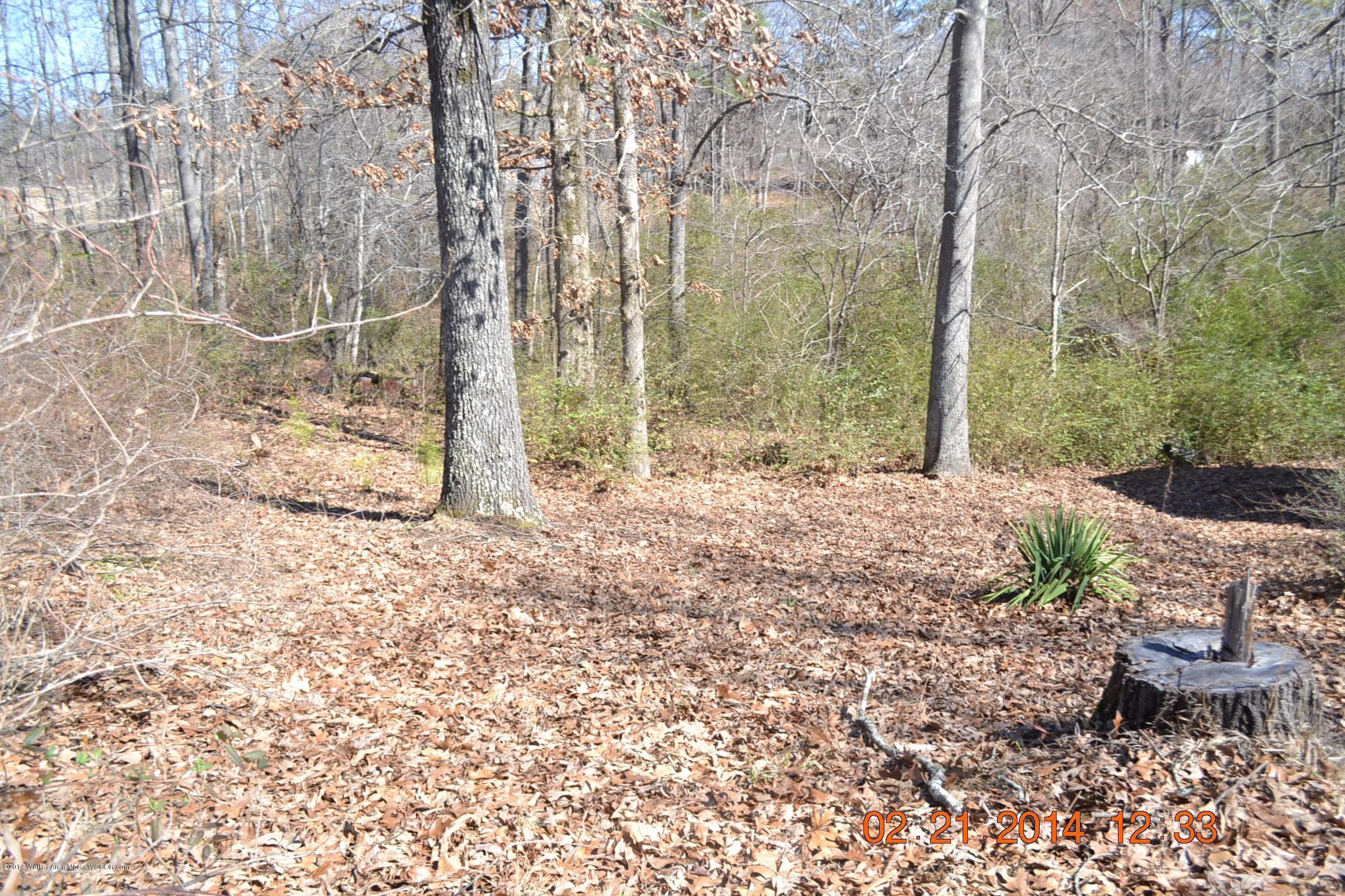 1861 Tommy Robinson Road Jasper, AL 35504 - Photo 41 of 42 Gallery Image 41