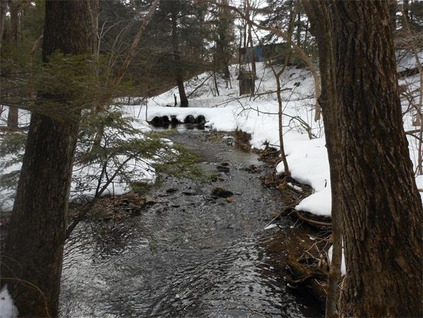 22-acres Fowler Road Westfield, MA 01085 - Photo 4 of 7 Gallery Image 4