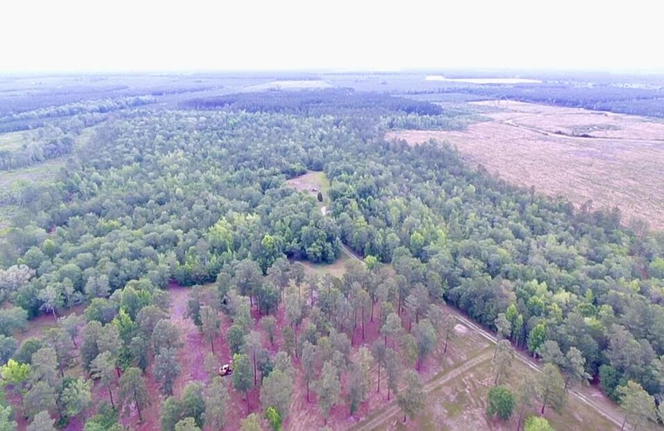 1800 Sc-311 Cross, SC 29436 - Photo 4 of 7 C750064B-8902-4B8C-9897-537E68D173DC_1_2