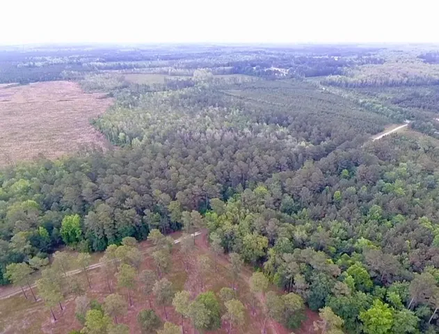 $2,750,000 | 1800 Sc-311, Cross, SC 29436