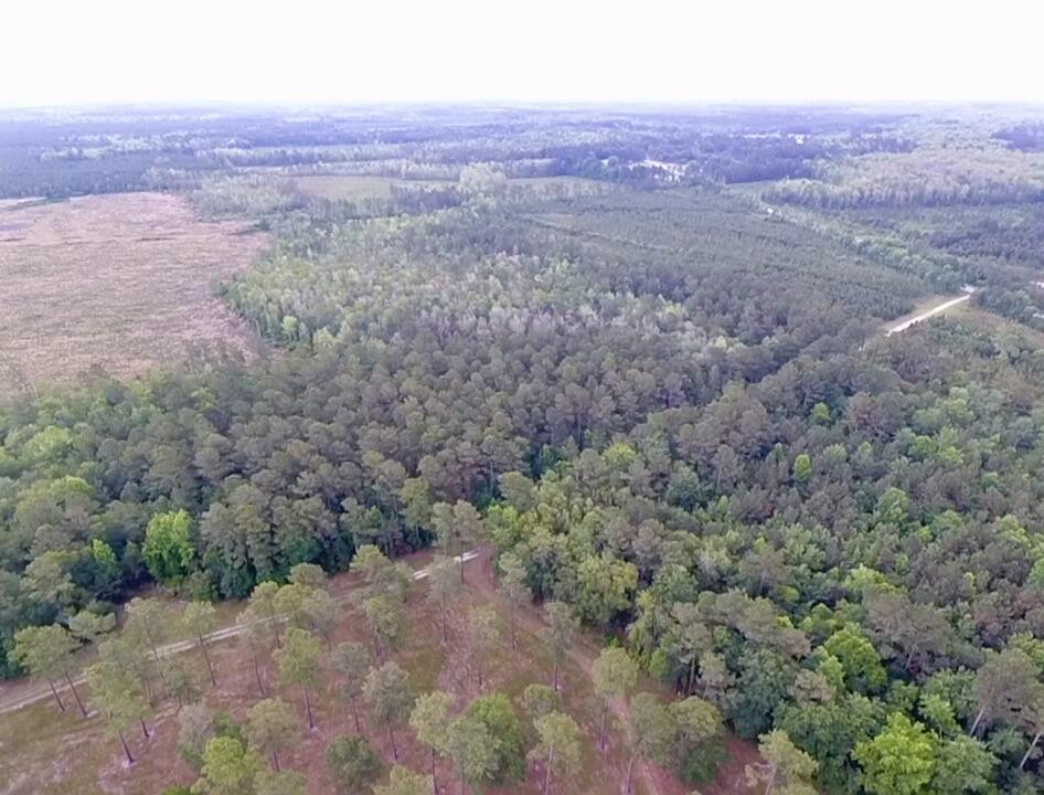 1800 Sc-311 Cross, SC 29436 - Photo 5 of 7 ACA8F0B9-A4F8-4BA2-976C-A837DD4C67E5_1_2