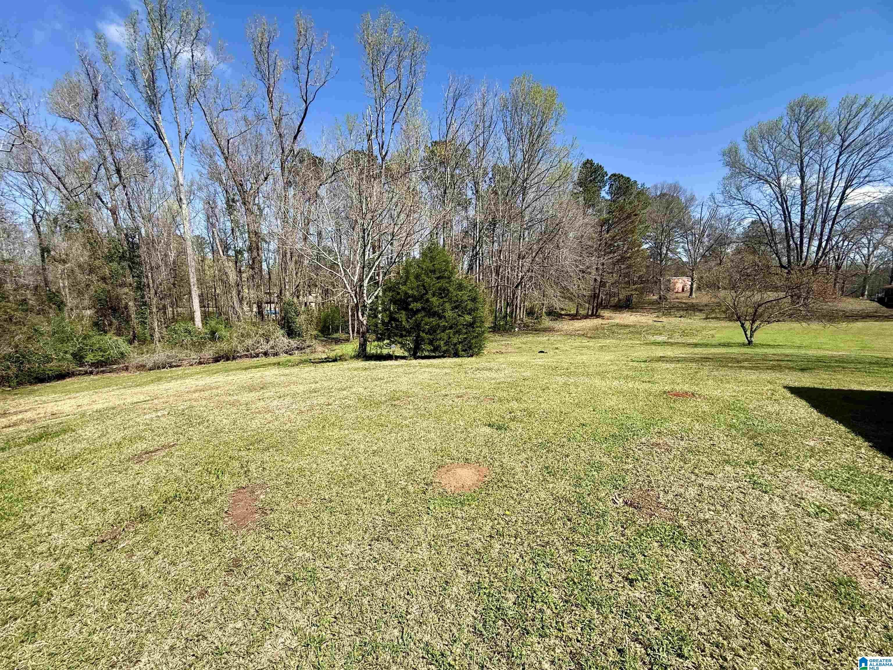 2087 Trussell Road Alexander City, AL 35010 - Photo 25 of 28
