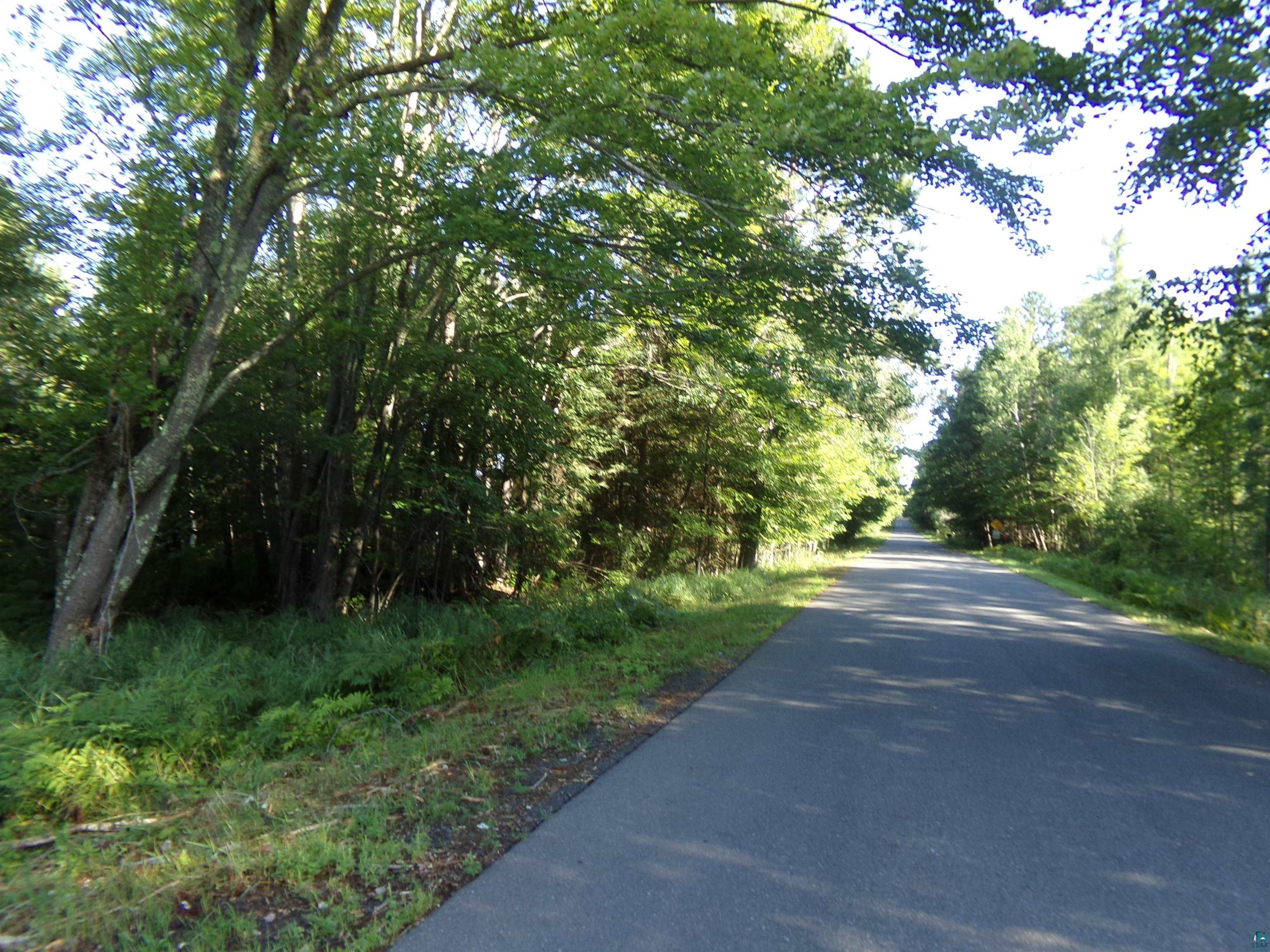 7581 South Marsik Road Lake Nebagamon, WI 54849 - Photo 3 of 7 View of asphalt road with a view of trees