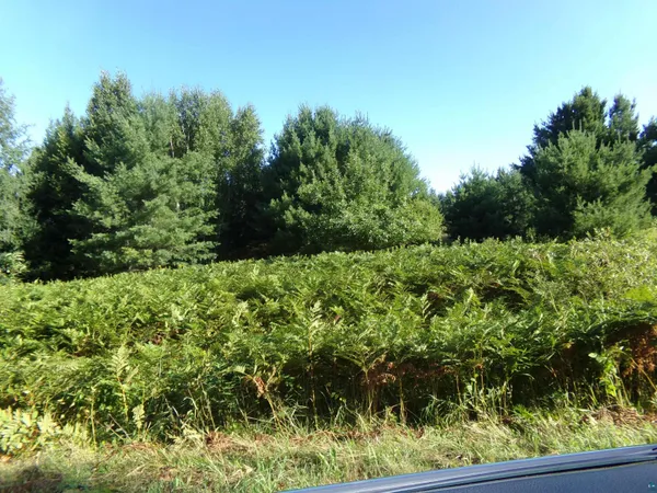 $47,000 | 7581 South Marsik Road, Lake Nebagamon, WI 54849