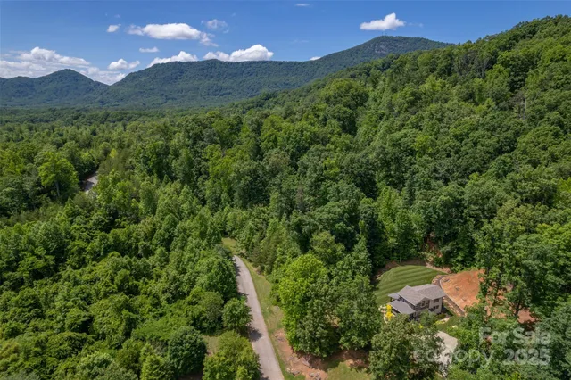 a view of backyard with potted plants and wooden fence