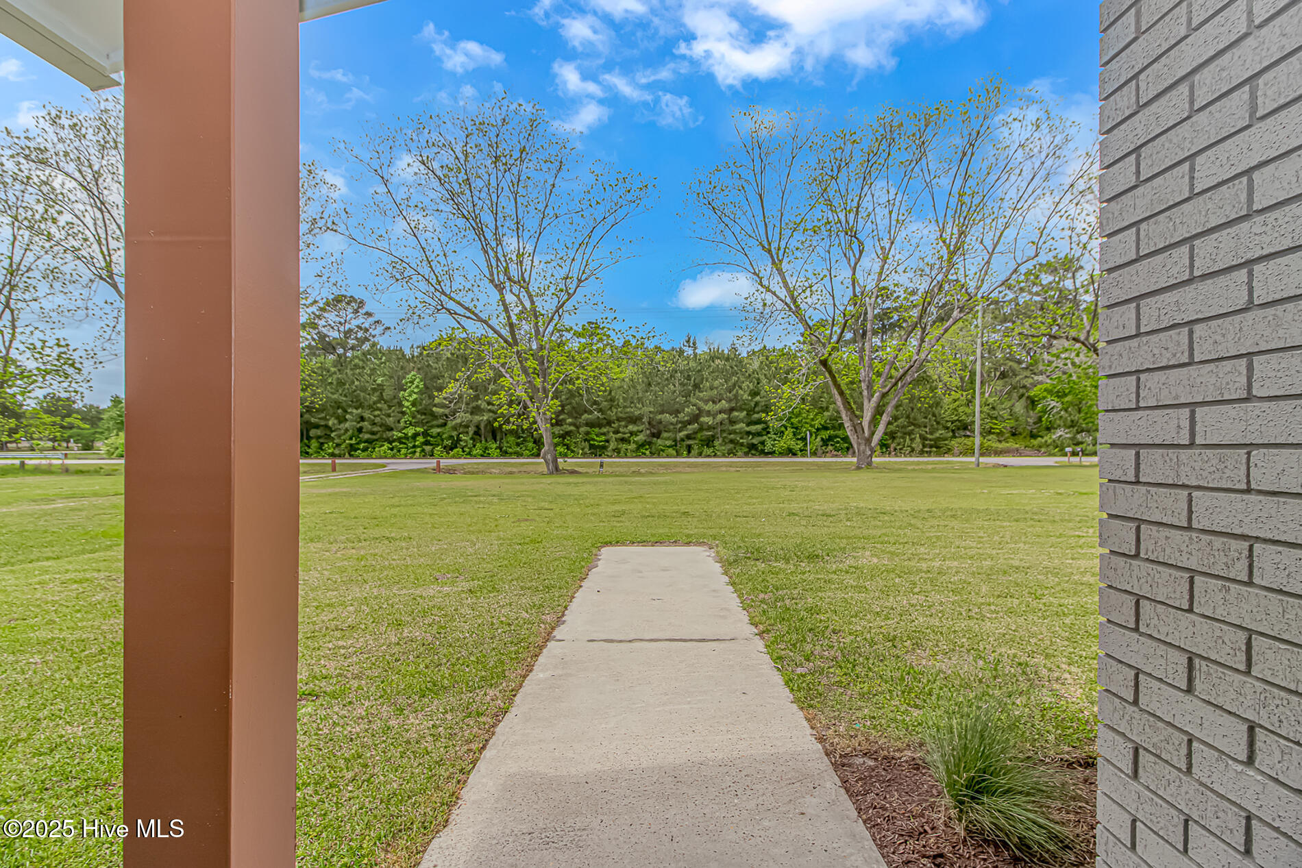 2360 Highway 701 Loris, SC 29569 - Photo 43 of 48 3_mls-3