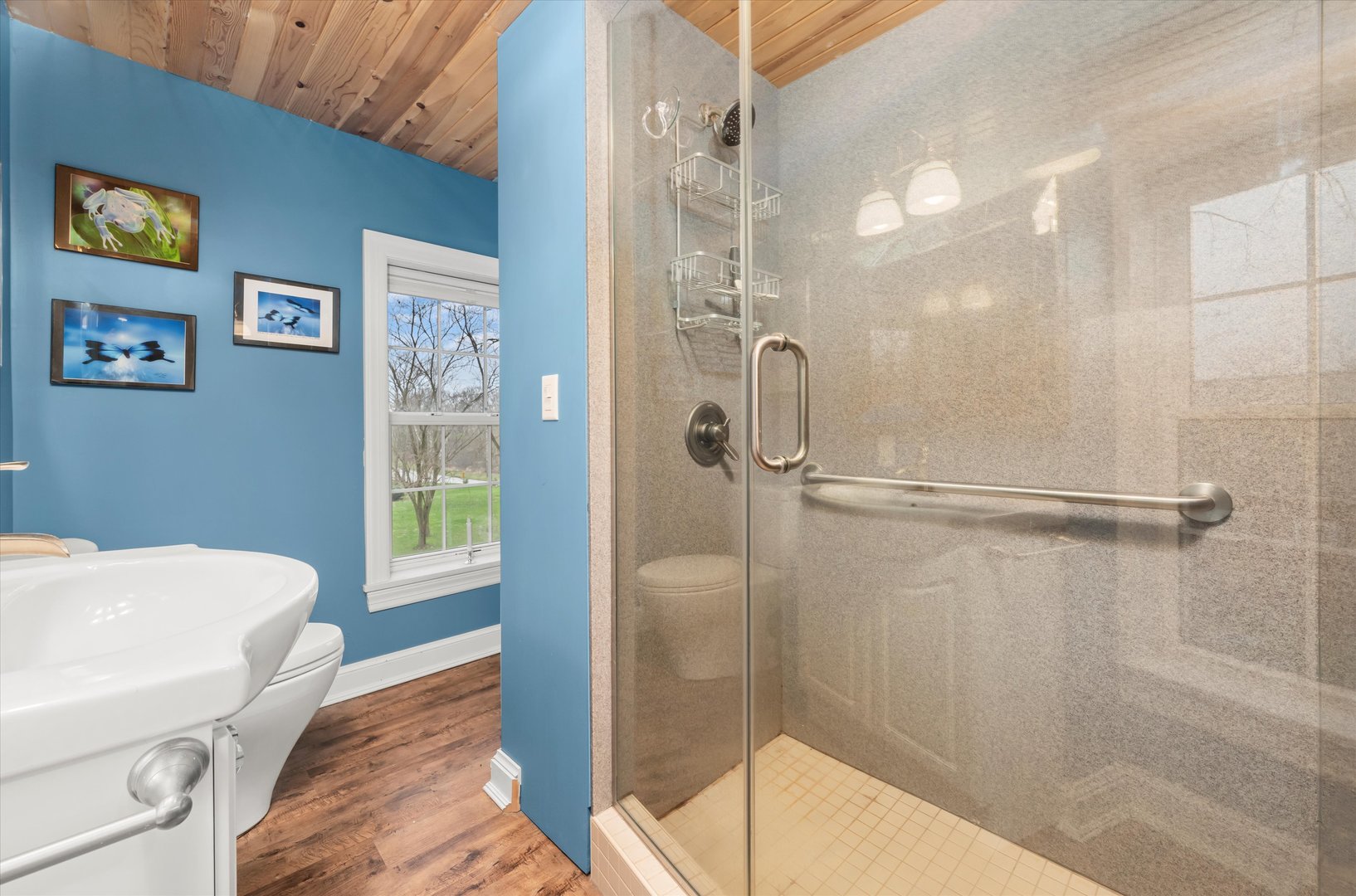 24045 Kings Road Crete, IL 60417 - Photo 11 of 21 Gallery Image 11