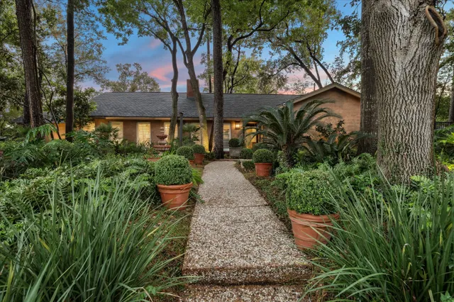 a view of a garden with plants