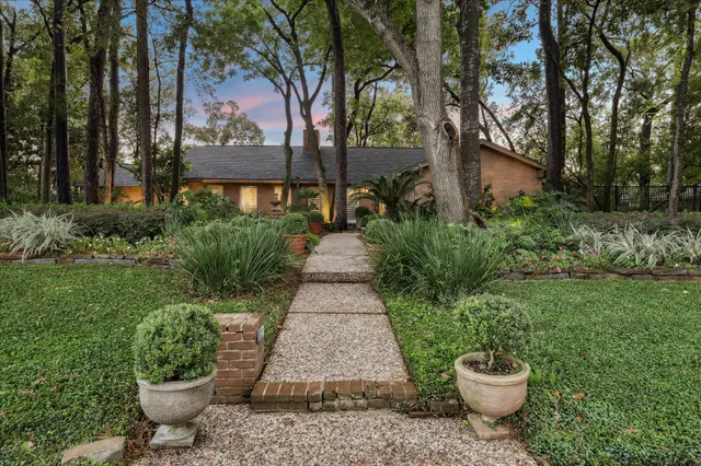 a view of a backyard with potted plants