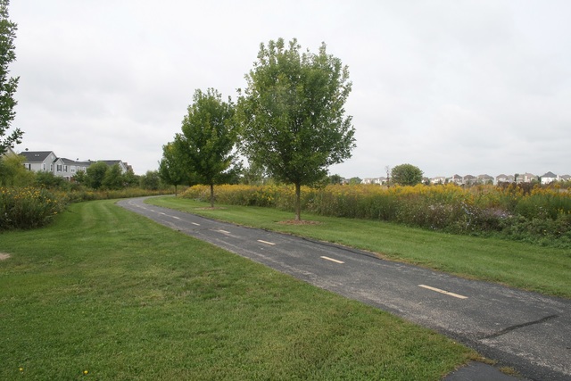 267 Springbrook Trail South Oswego, IL 60543 - Photo 15 of 20