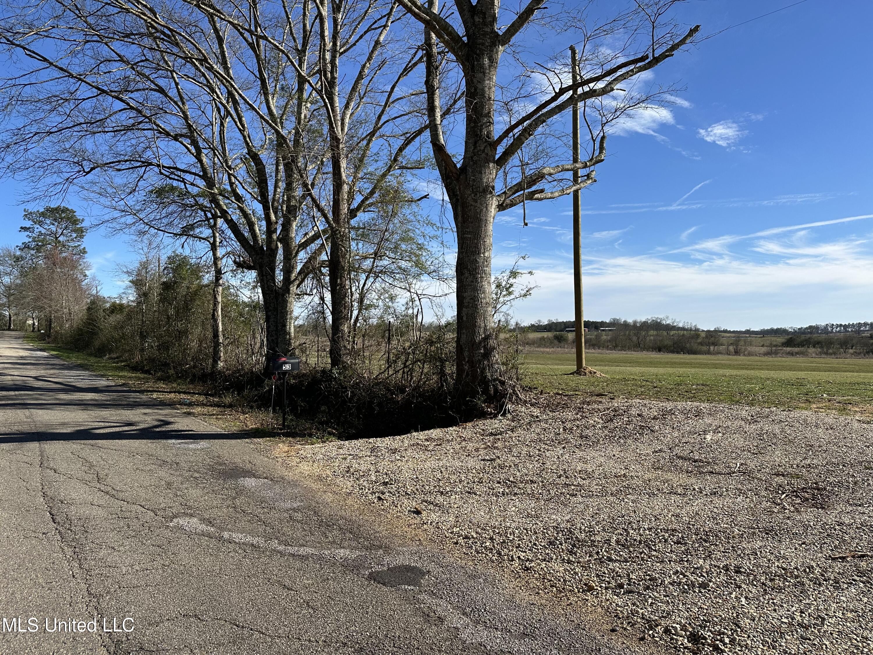 53 Grady Lewis Road Poplarville, MS 39470 - Photo 2 of 7 IMG_8372