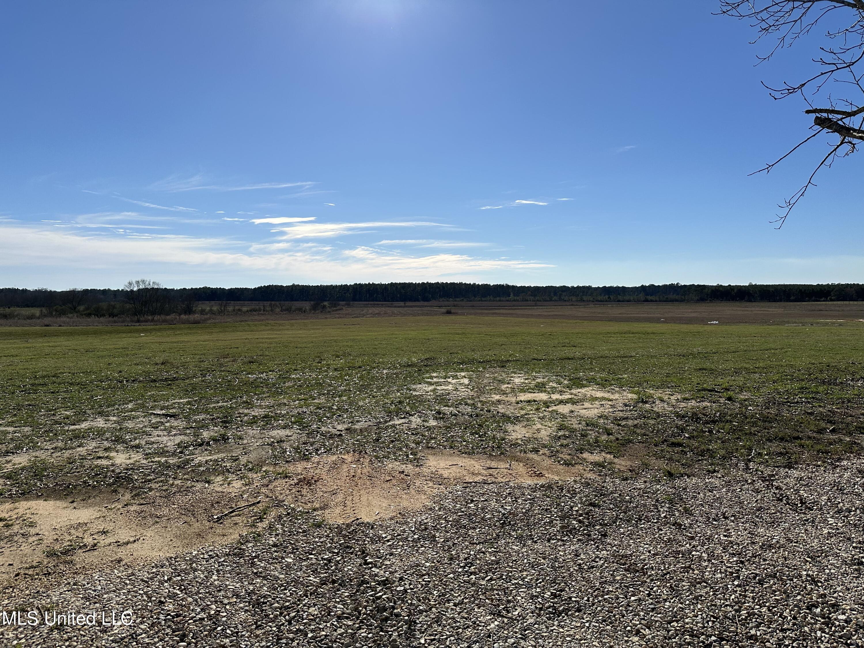 53 Grady Lewis Road Poplarville, MS 39470 - Photo 3 of 7 IMG_8373