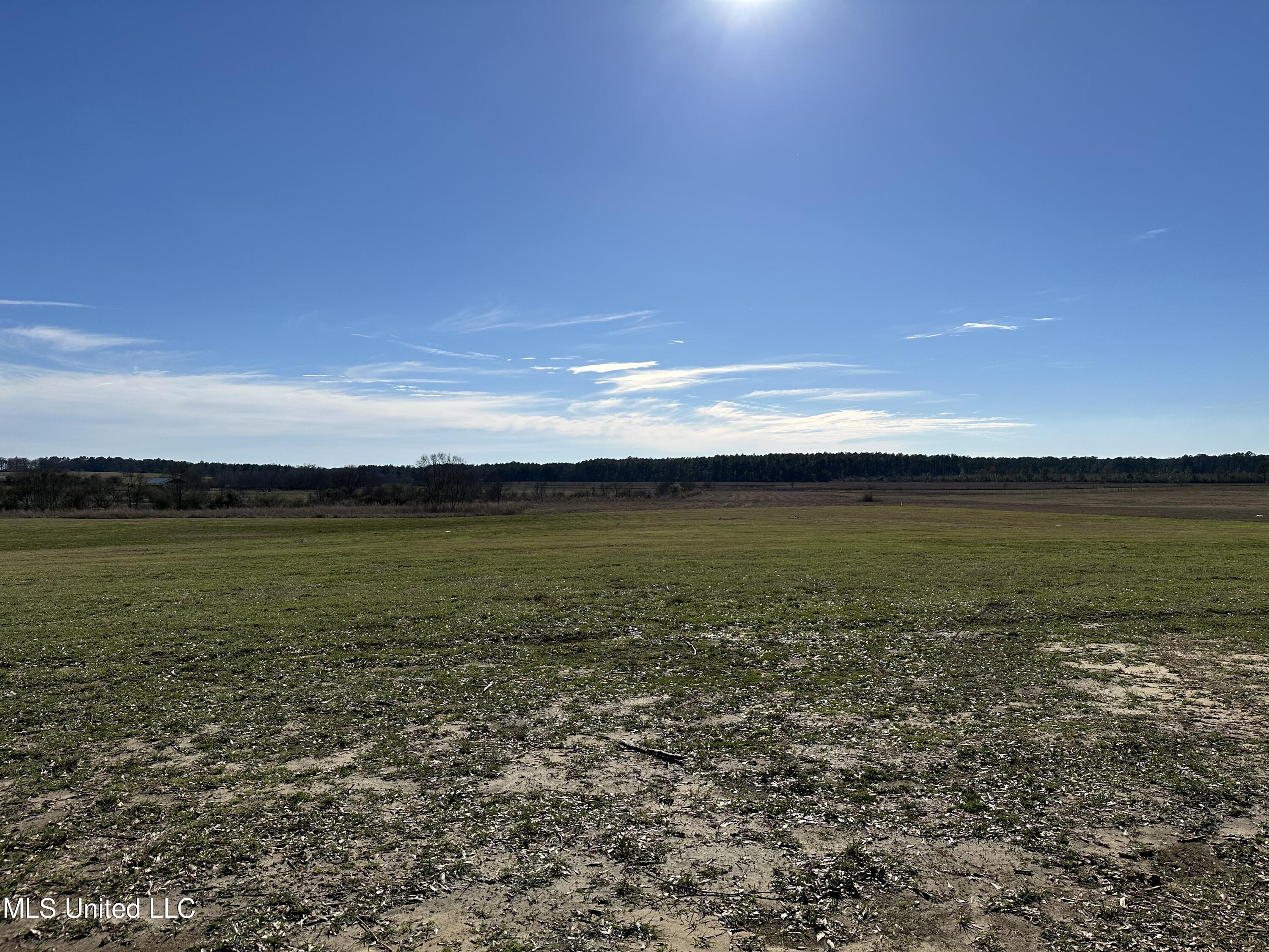 53 Grady Lewis Road Poplarville, MS 39470 - Photo 5 of 7 IMG_8375