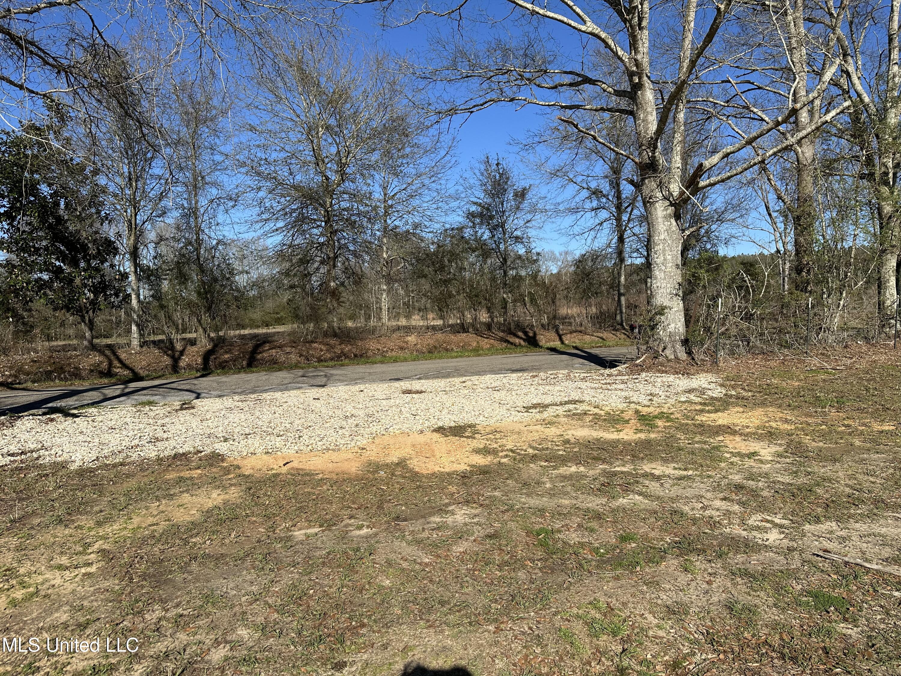 53 Grady Lewis Road Poplarville, MS 39470 - Photo 6 of 7 IMG_8376