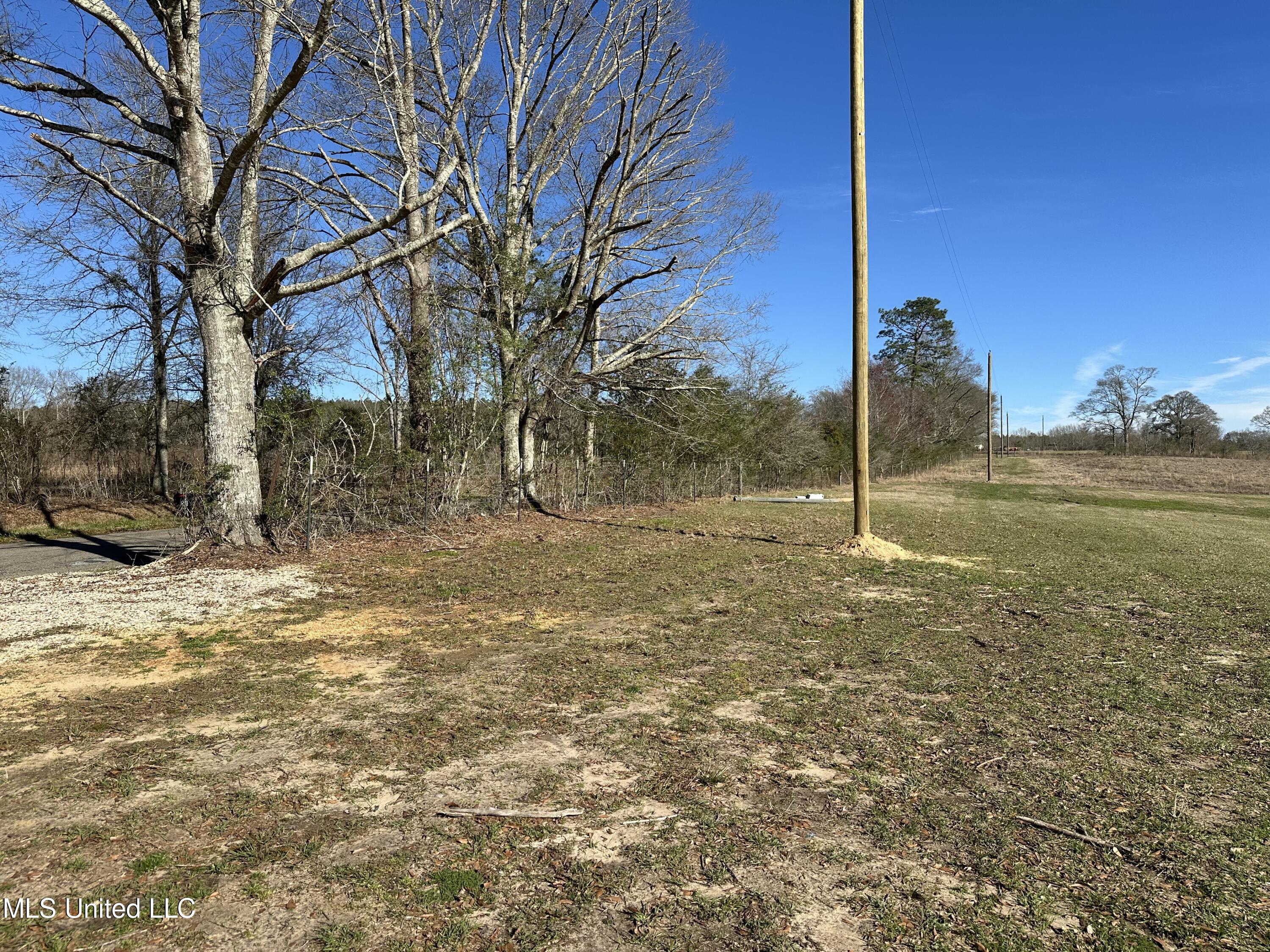 53 Grady Lewis Road Poplarville, MS 39470 - Photo 7 of 7 IMG_8377