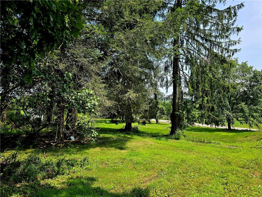 609 Trout Run Road Punxsutawney, PA 15767 - Photo 19 of 34 a view of grassy field with benches