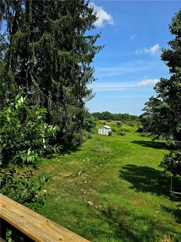 a view of a green field with lots of bushes