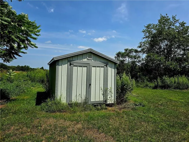 a view of a backyard with plants and large trees