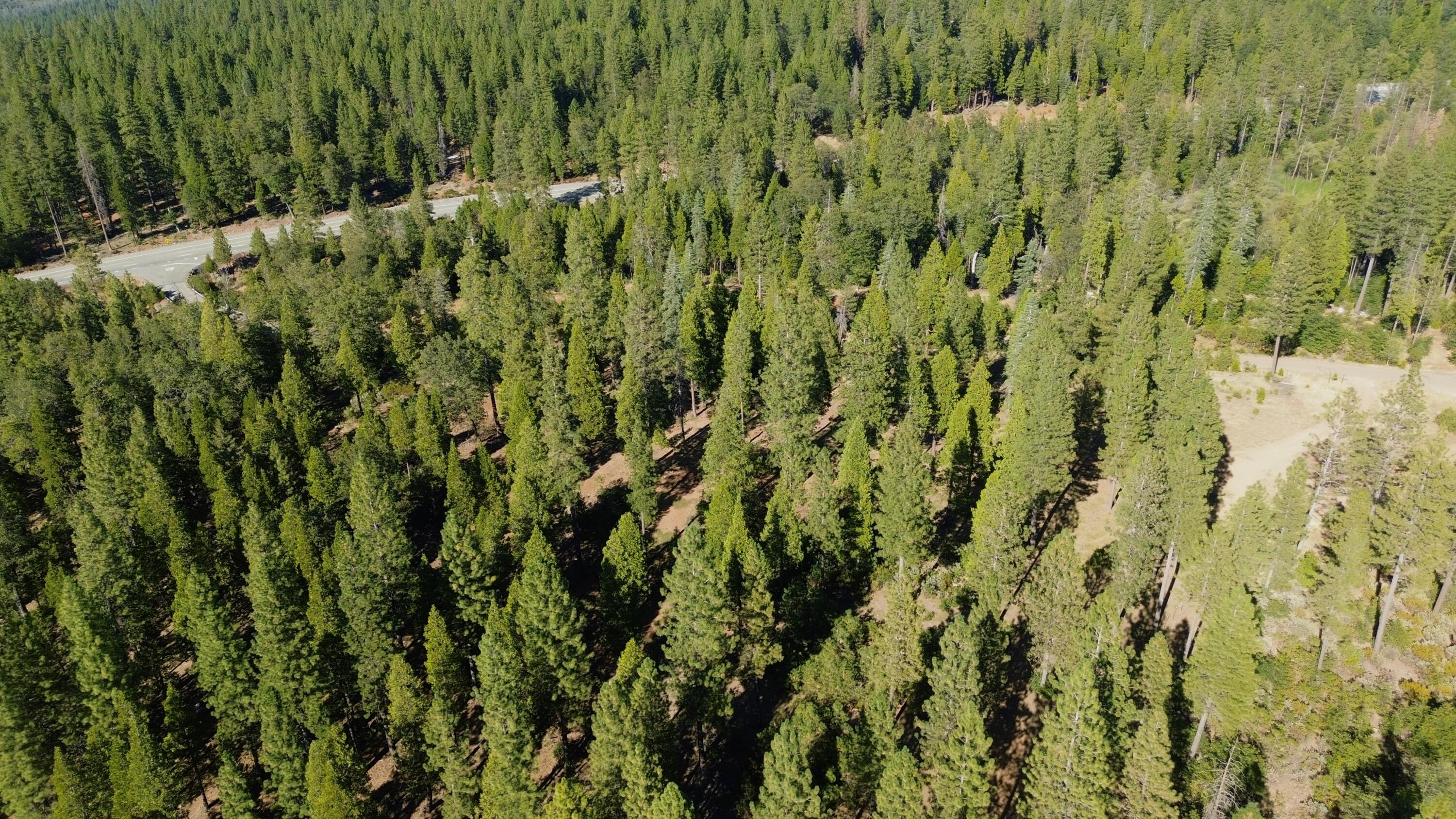 0 Waterleaf Lane Shingletown, CA 96088 - Photo 14 of 15 IMG_6440