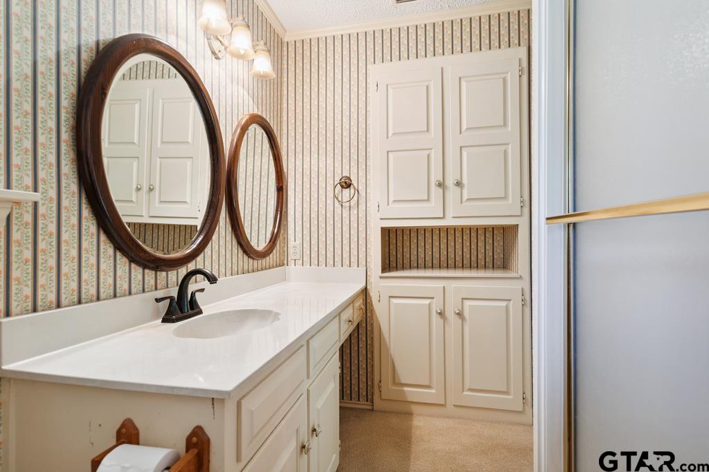 227 Brookside Drive Hideaway, TX 75771 - Photo 22 of 35 a bathroom with a sink a mirror and a shower