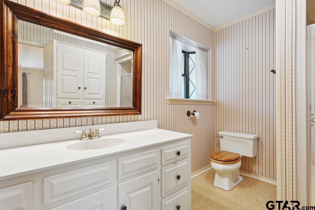 227 Brookside Drive Hideaway, TX 75771 - Photo 27 of 35 a bathroom with a toilet a sink and a mirror