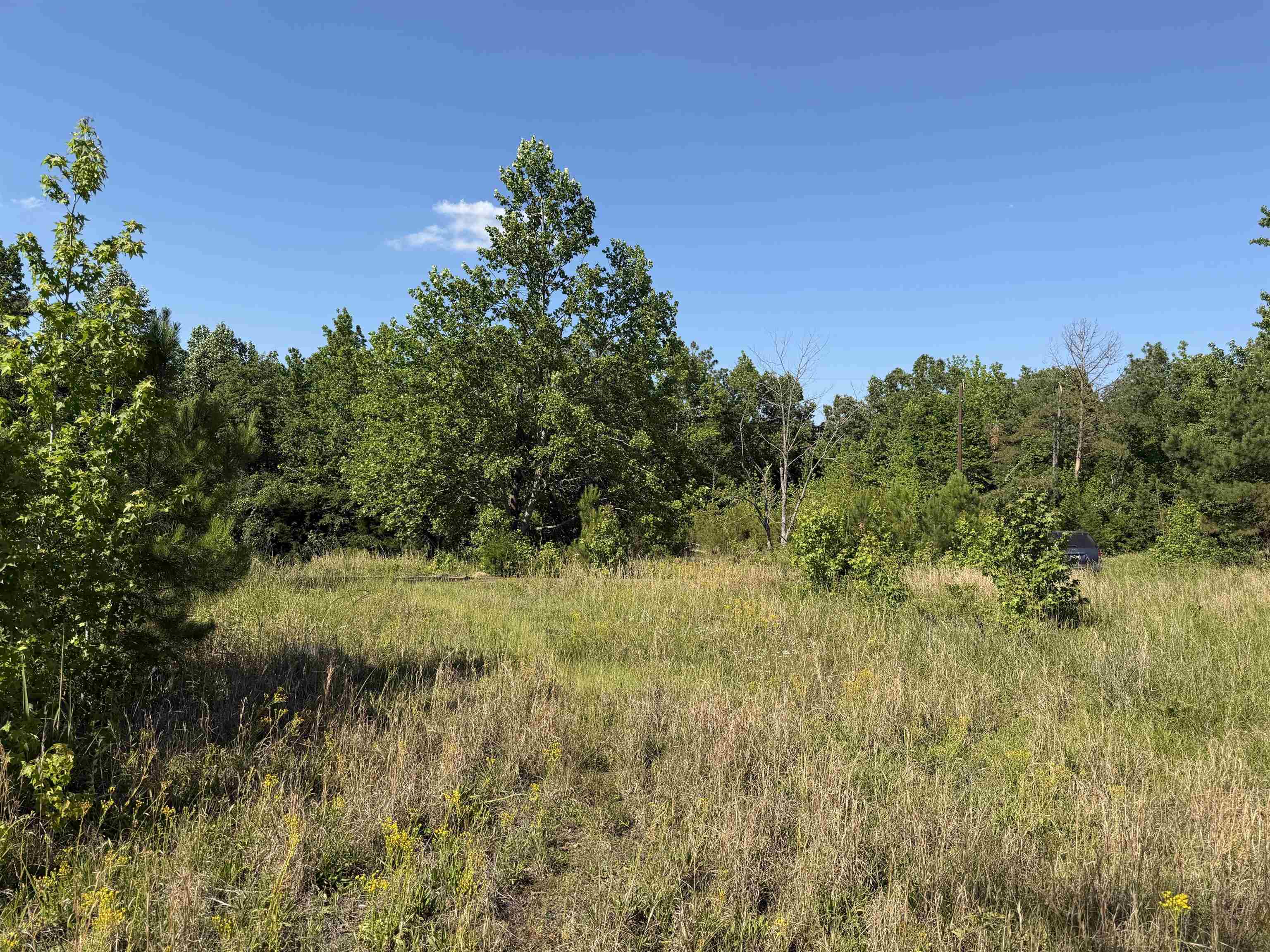3180 Old Union Road Adamsville, TN 38310 - Photo 19 of 20